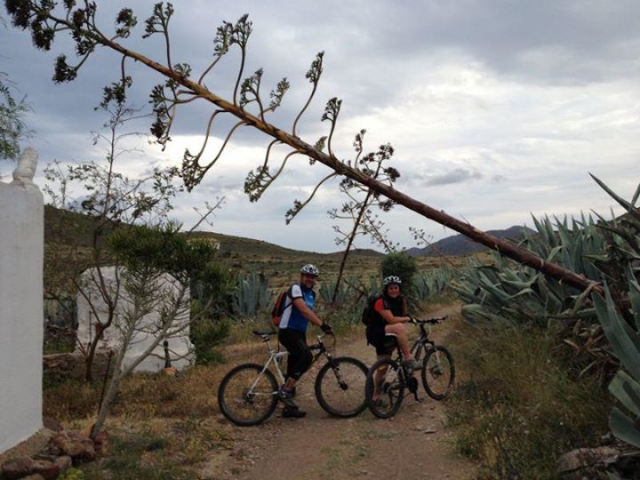 caminos en la ruta de btt